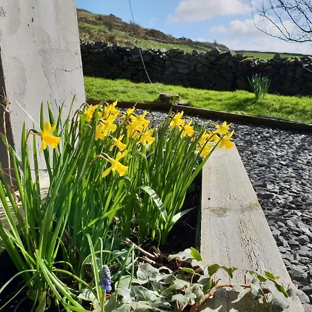 Damson Cabin Ulverston