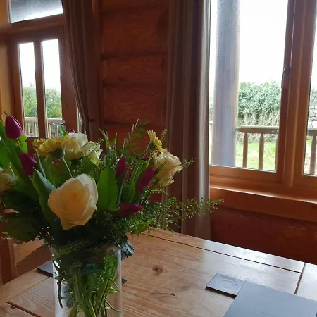 Chalet Damson Cabin
