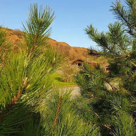 Damson Cabin * Ulverston
