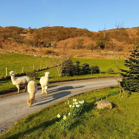 Damson Cabin Chalet Ulverston
