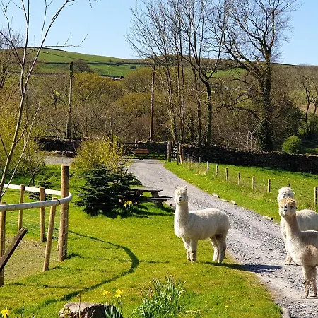 Chalet Damson Cabin Ulverston