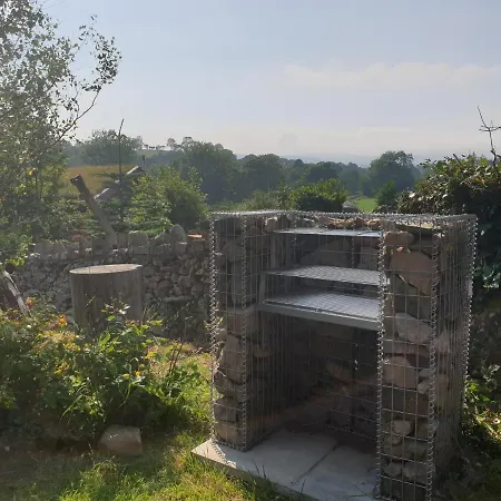 Damson Cabin *