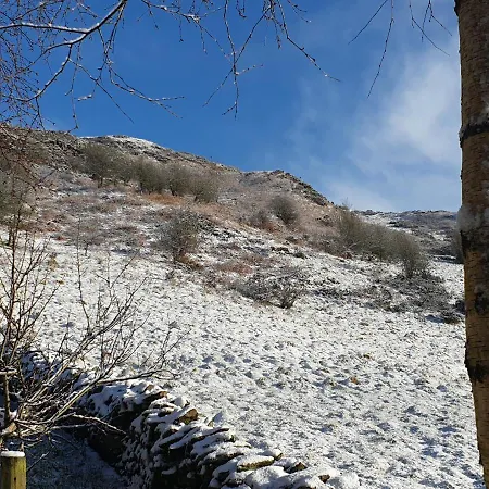 Damson Cabin *